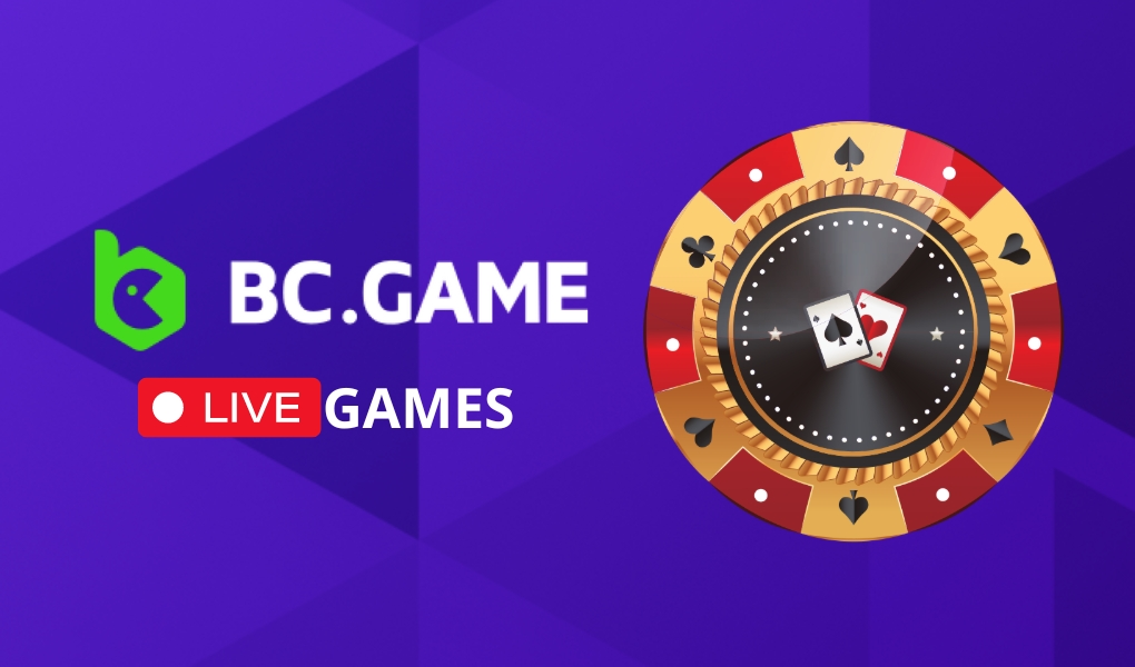Everything You Need to Know About BC.Game Everything You Need to Know About BC.Game